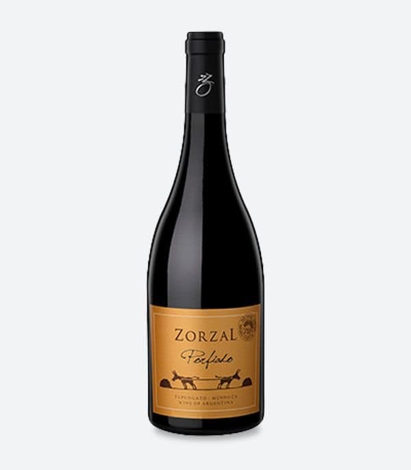 Zorzal Porfiado