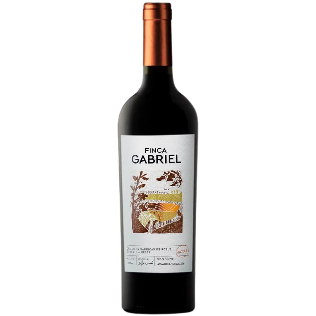 Vino Jorge Rubio Finca Gabriel Merlot 750ml
