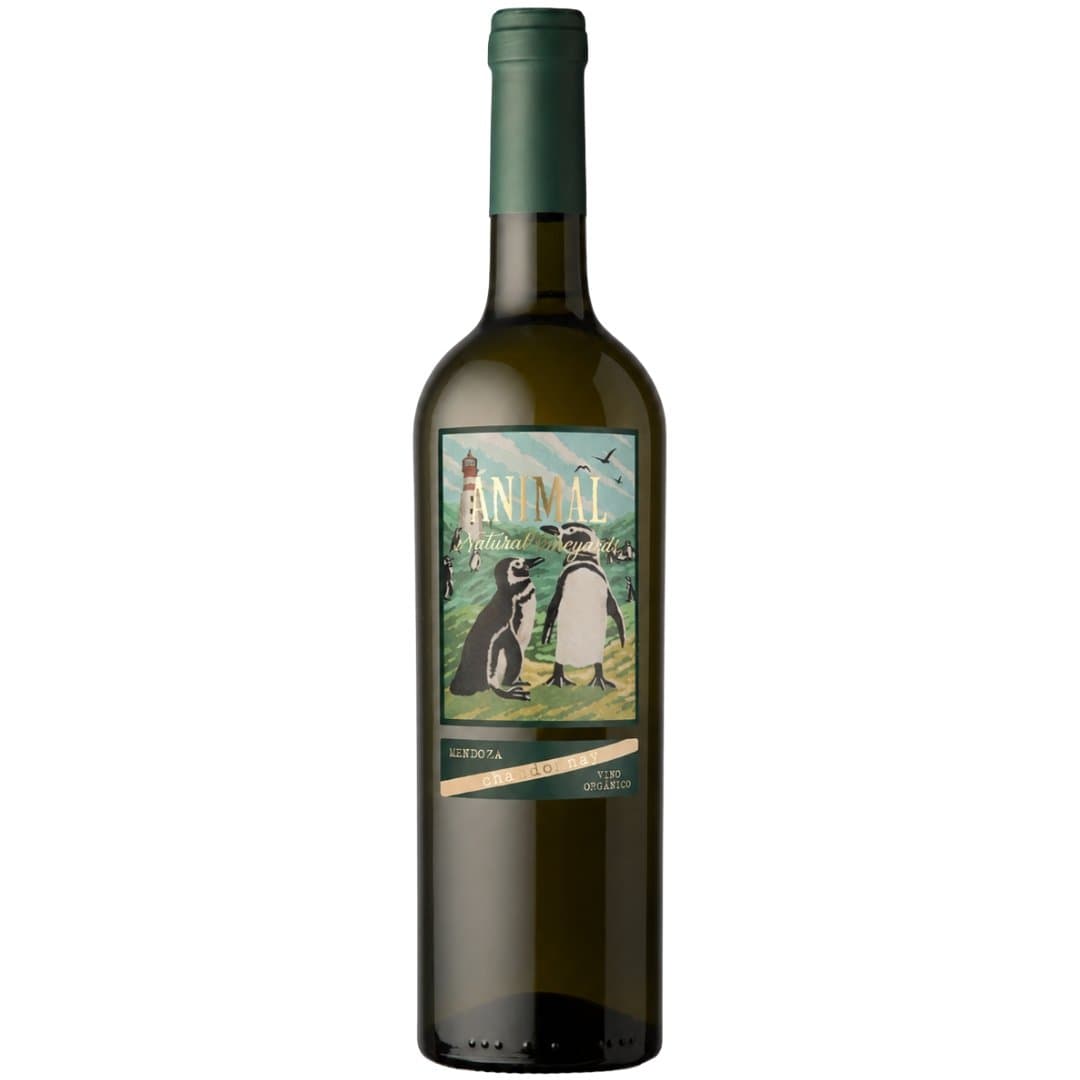 Chardonnay Orgánico