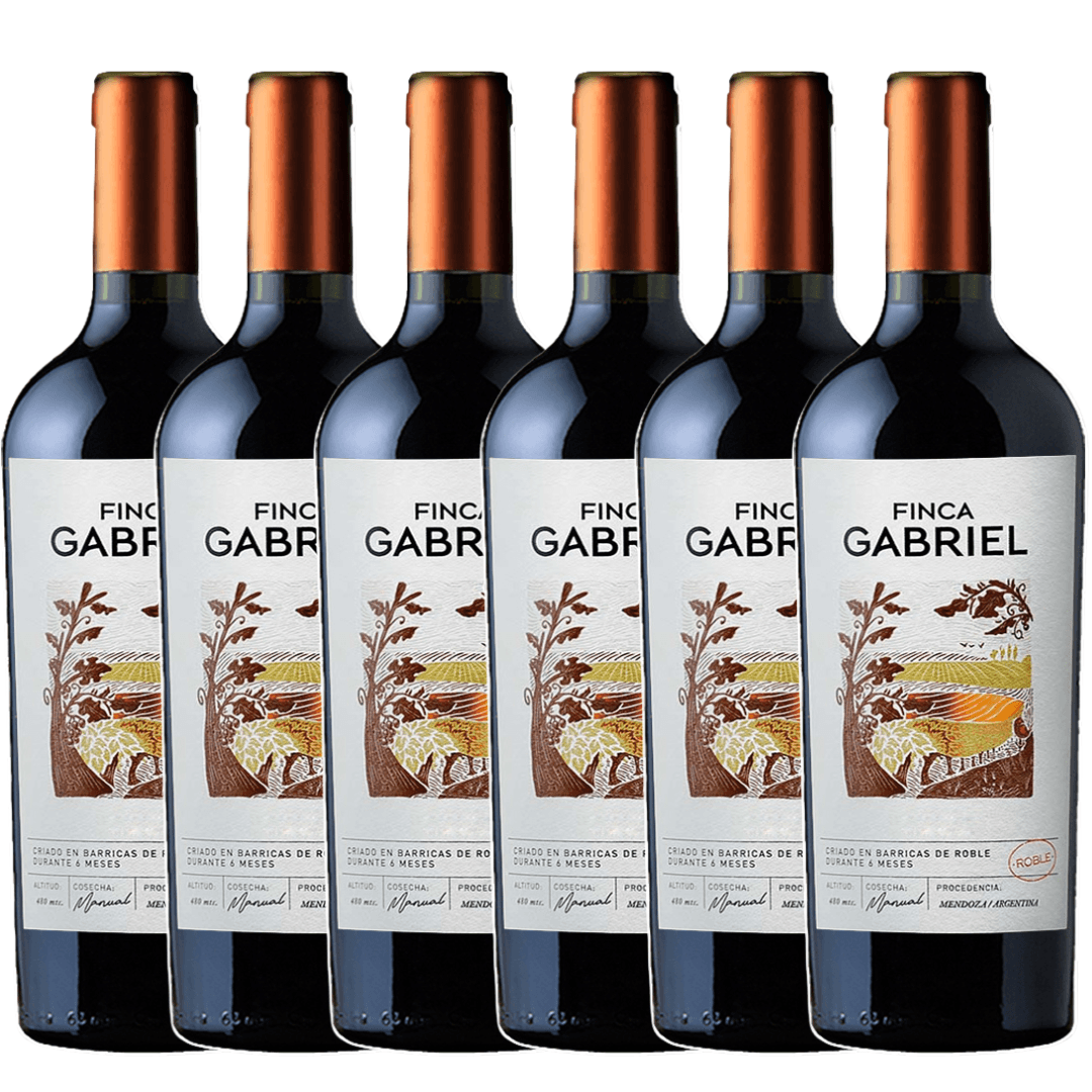 Vino Finca Gabriel Cabernet Sauvignon 750ml