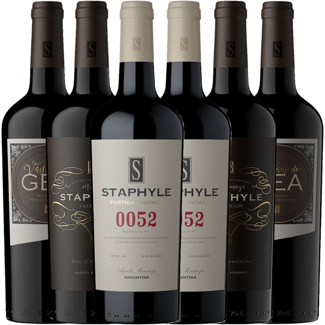 Mix Descubrí Bodega Staphyle x6 | Luján de Cuyo