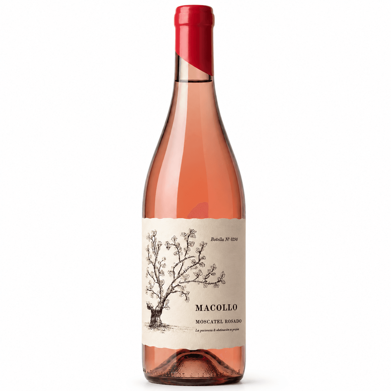Macollo Moscatel Rosado