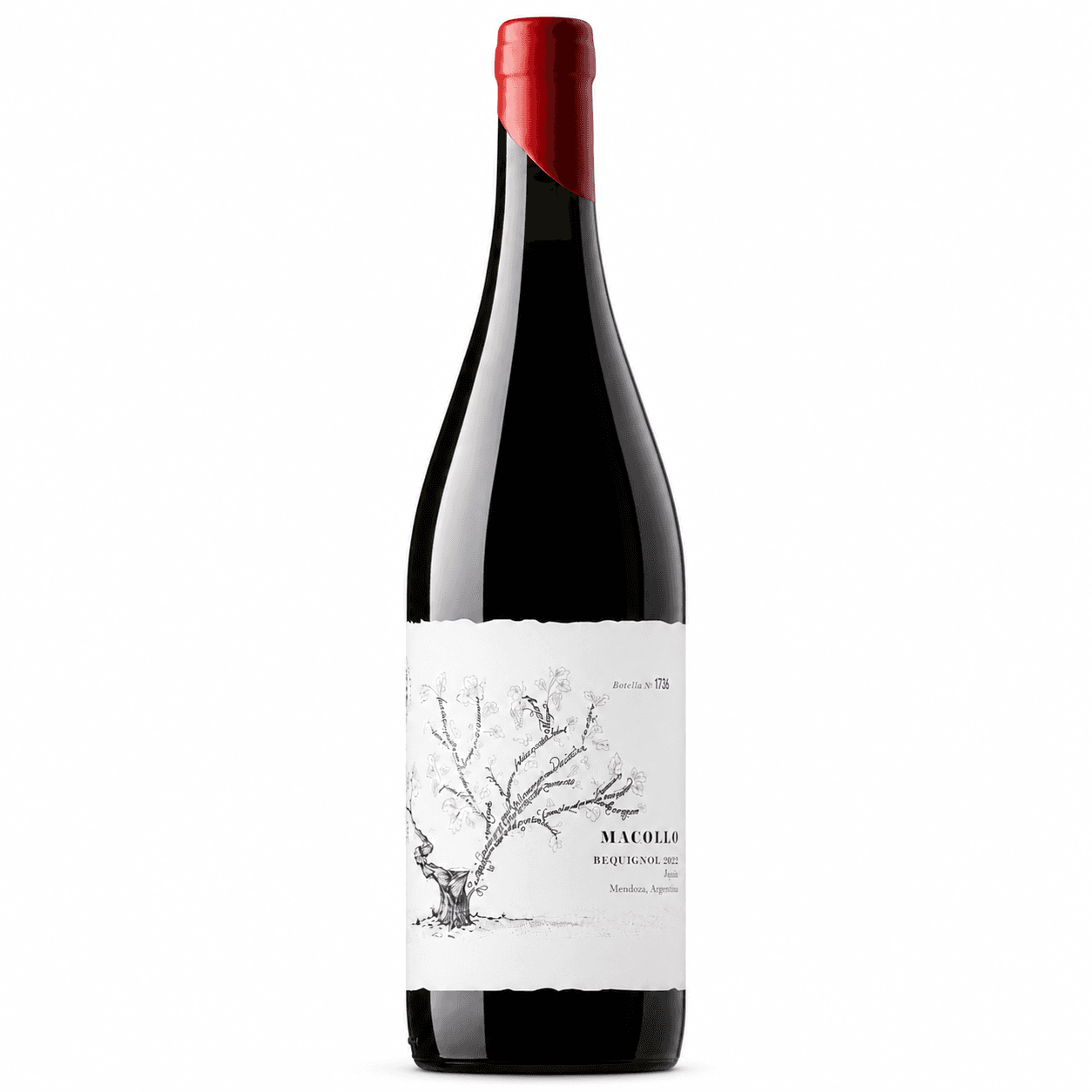 Vino Macollo Bequignol 750ml | Cepa histórica