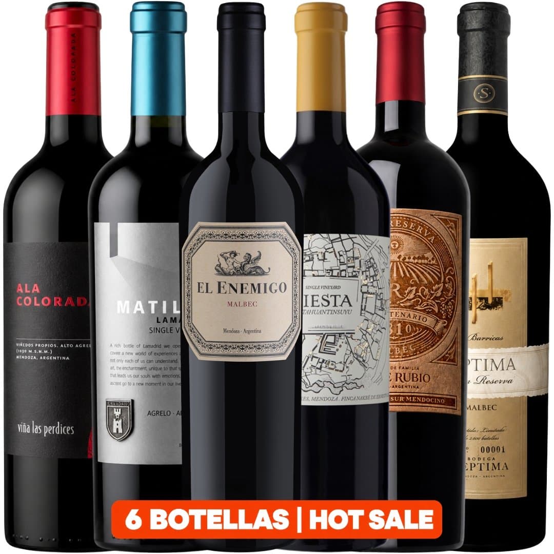 Mix Vinos 6 Botellas Para Lucirte | Hot Sale
