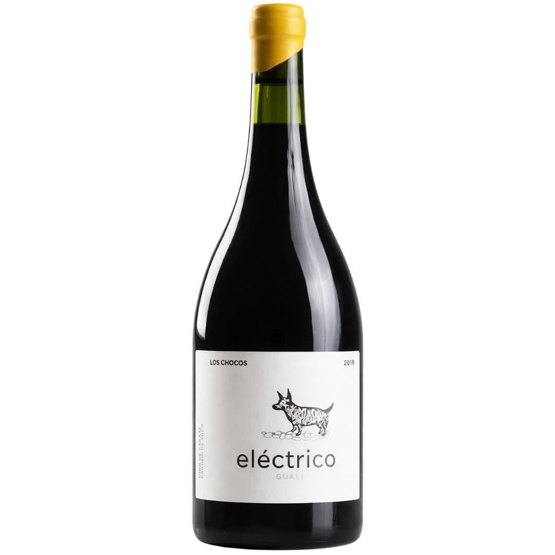 Vino Eléctrico Malbec 750ml | Gualtallary