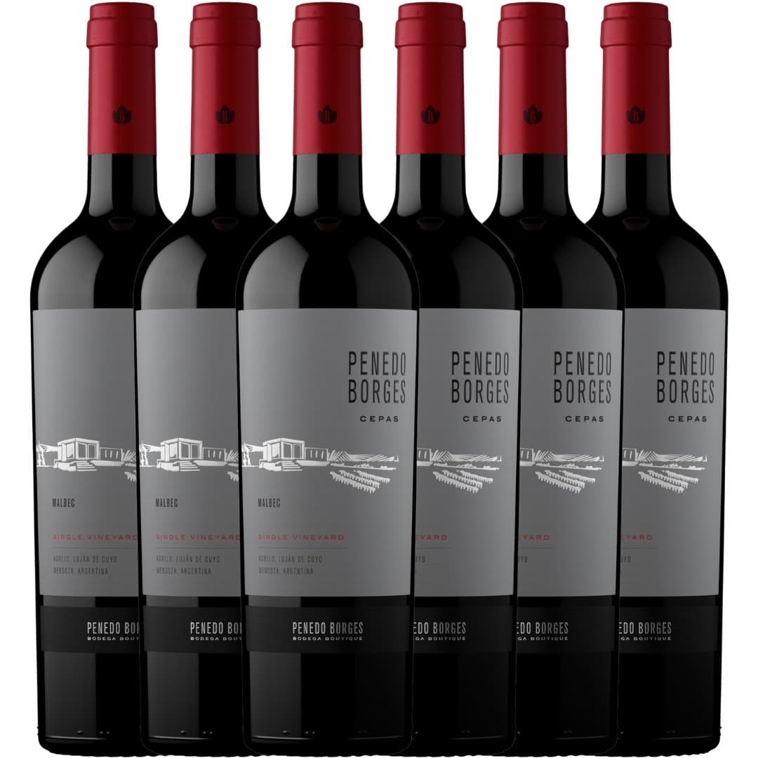 Vino Penedo Borges Cepas Malbec x6 | Pack diario