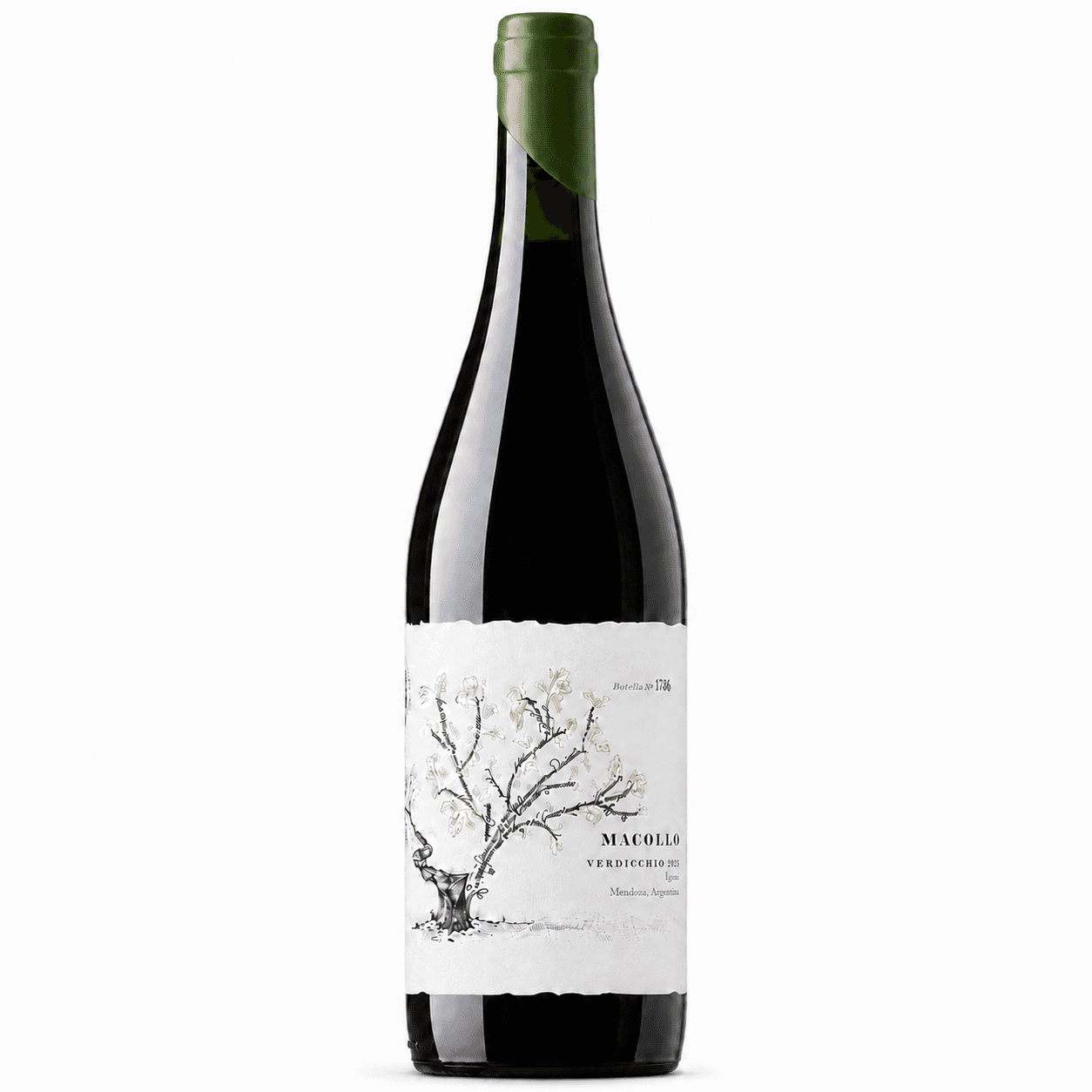 Vino Macollo Verdicchio 2025 | Blanco de Mendoza