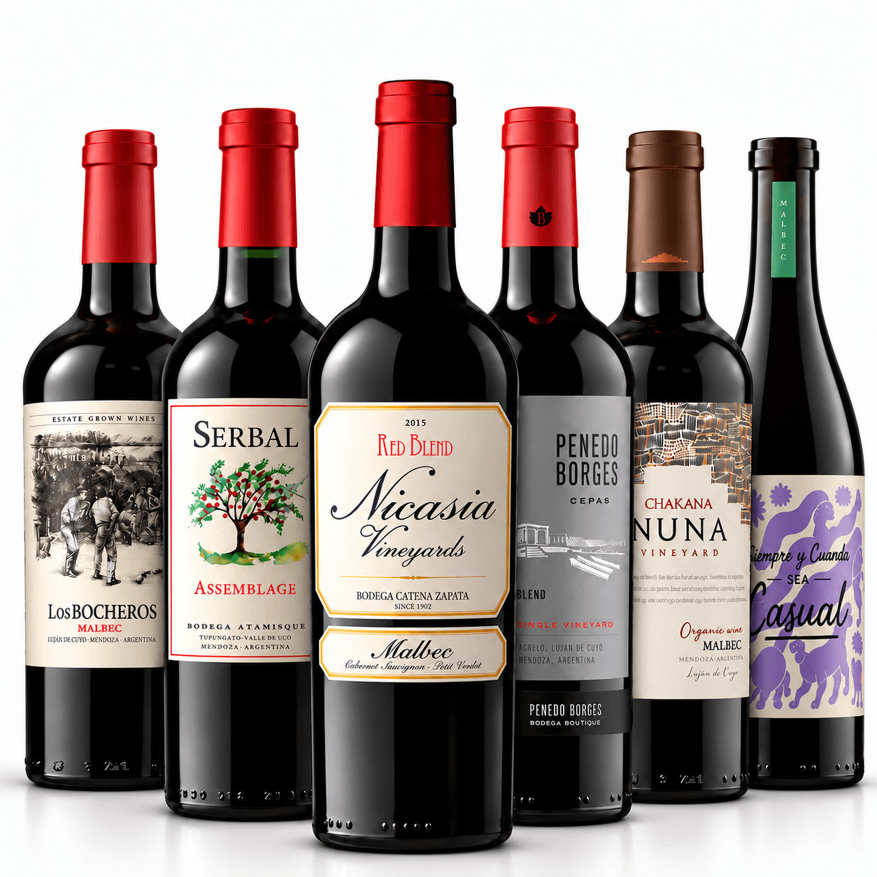 Mix Brindis Seguro x6 | Vinos para Compartir