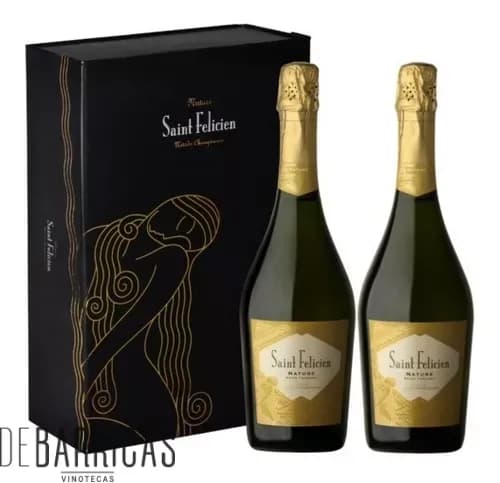 EST SAINT FELICIEN NATURE X1