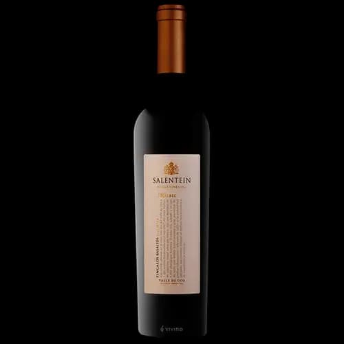 SALENTEIN SV MALBEC GUALTALLAR