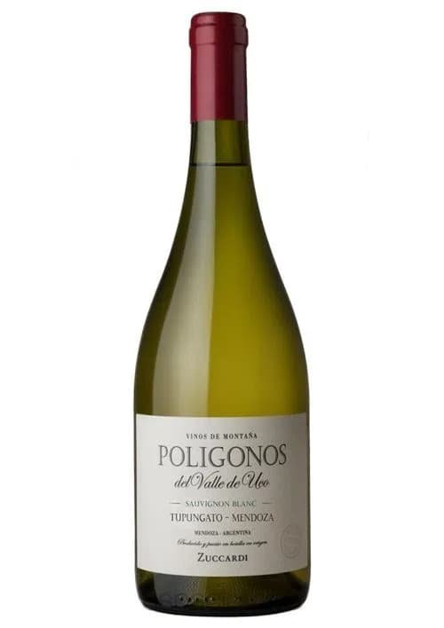 POLIGONOS TUPUNGATO S BLANC
