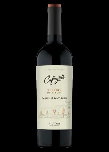 CAFAYATE TERROIR DE ALT CAB.SV