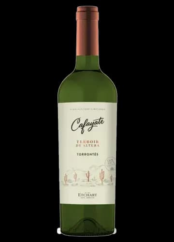 CAFAYATE TERROIR DE ALT TORR