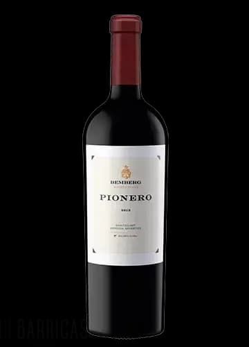 BEMBERG PIONERO 2016