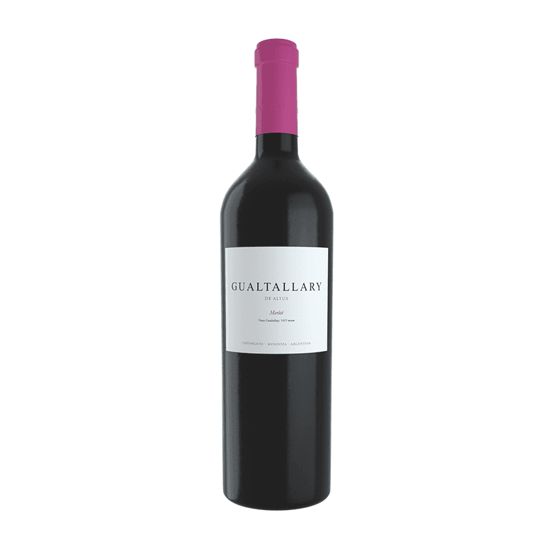 Gualtallary Merlot