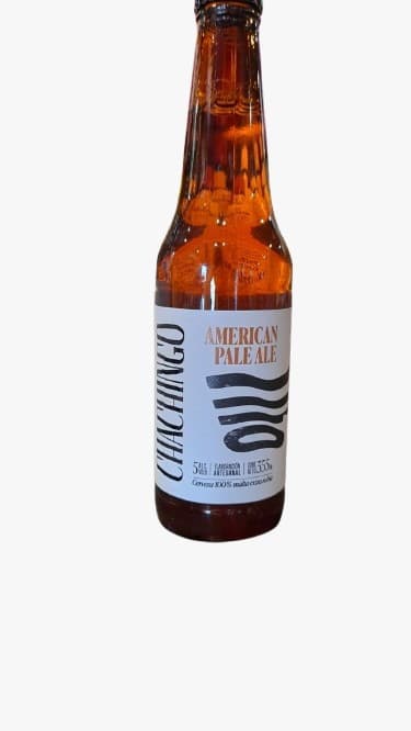CERVEZA CHACHINGO PALE ALE 355