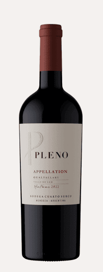 PLENO APELLATION GUALTALLARY MALBEC