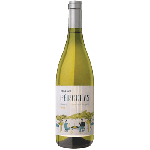 Cara Sur Pérgolas Blanco 2025