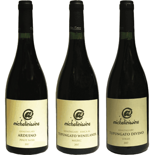 Selección Passionate Wines @micheliniwine