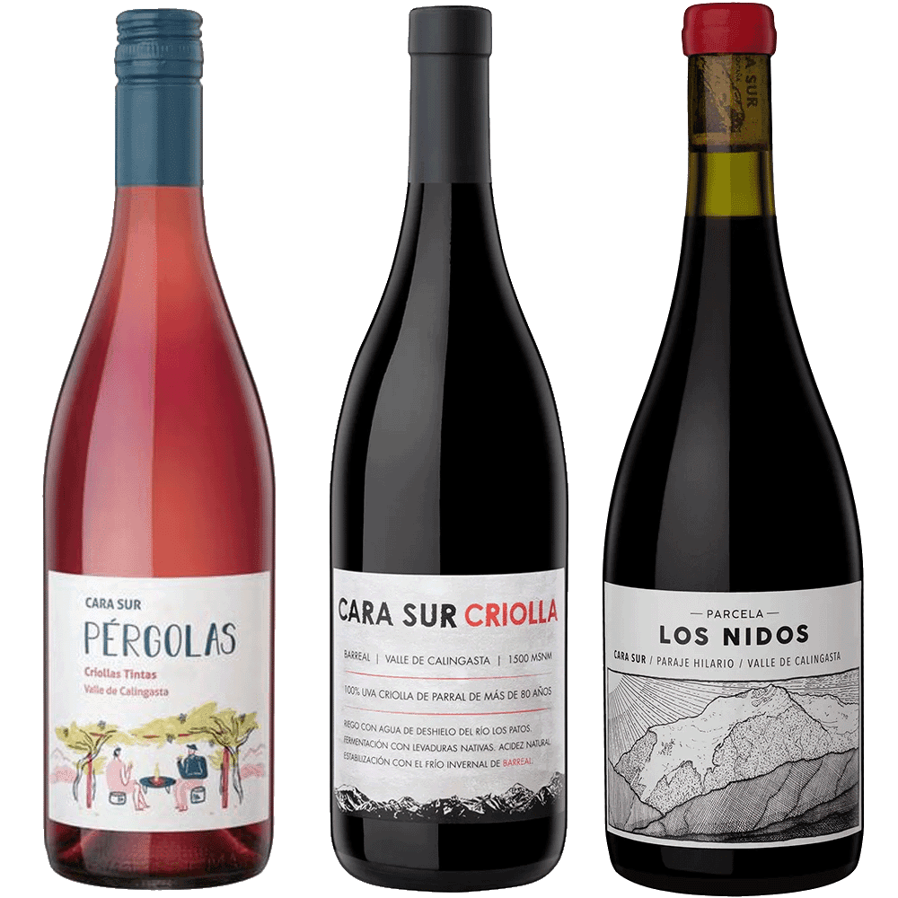 Selección Cara Sur Tintos