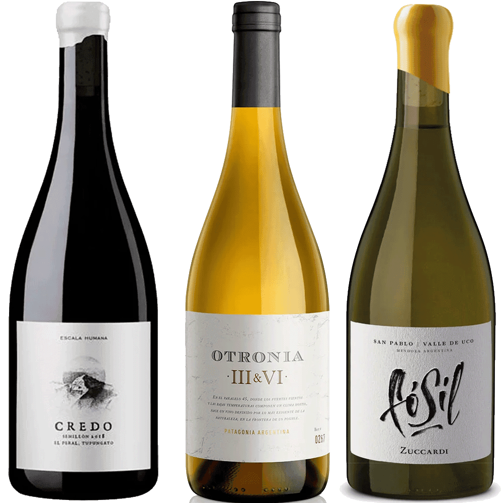 Selección Chardonnay II