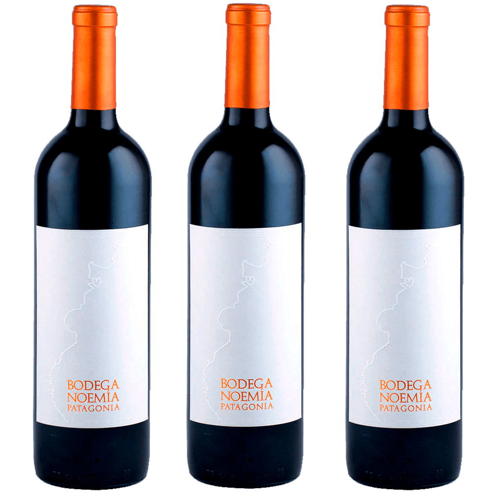 Selección Vertical Noemía 2020 · 2021 · 2022