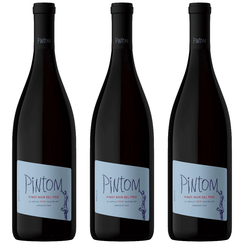 Selección Vertical Pintom 2019 · 2020 · 2021