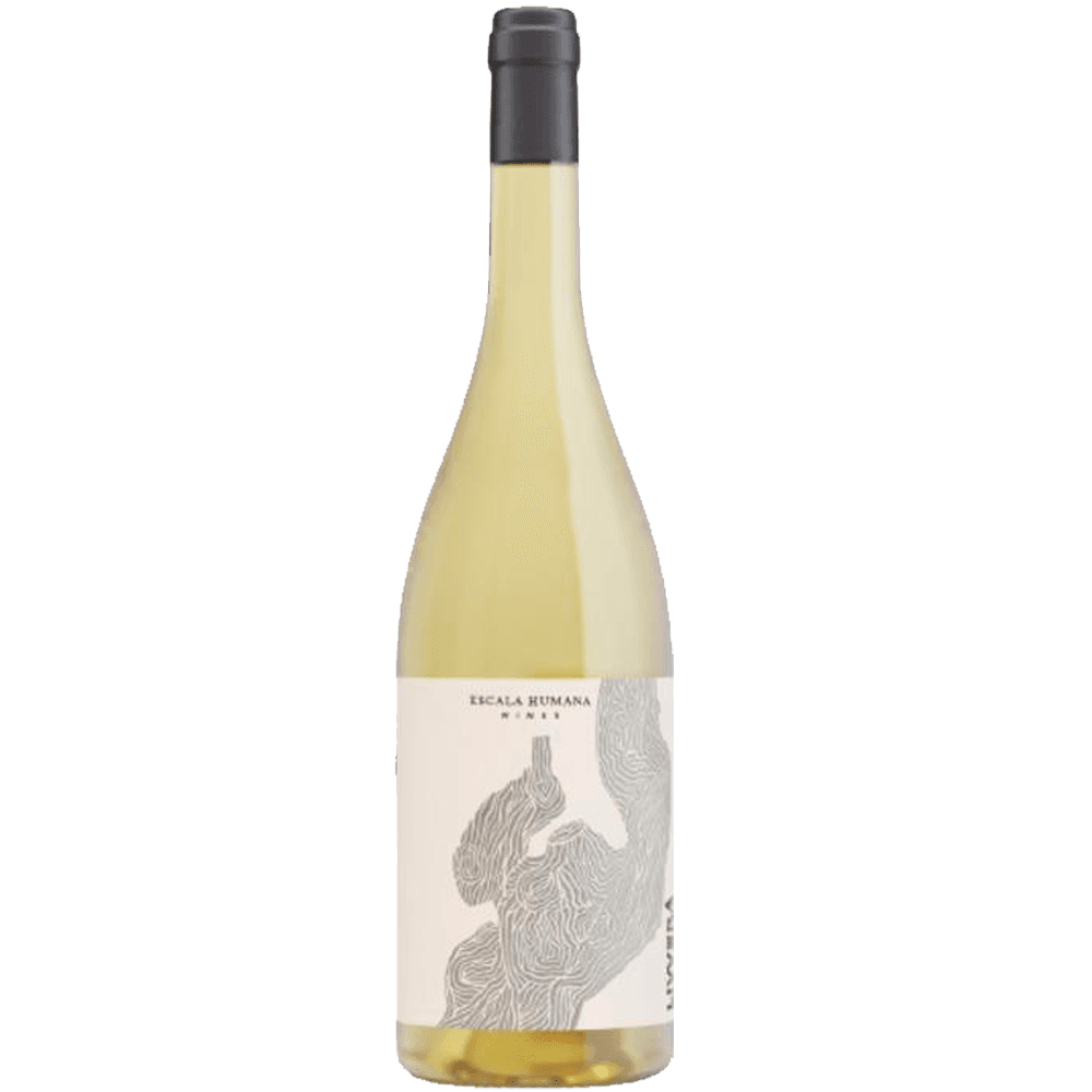 Livverá Semillon