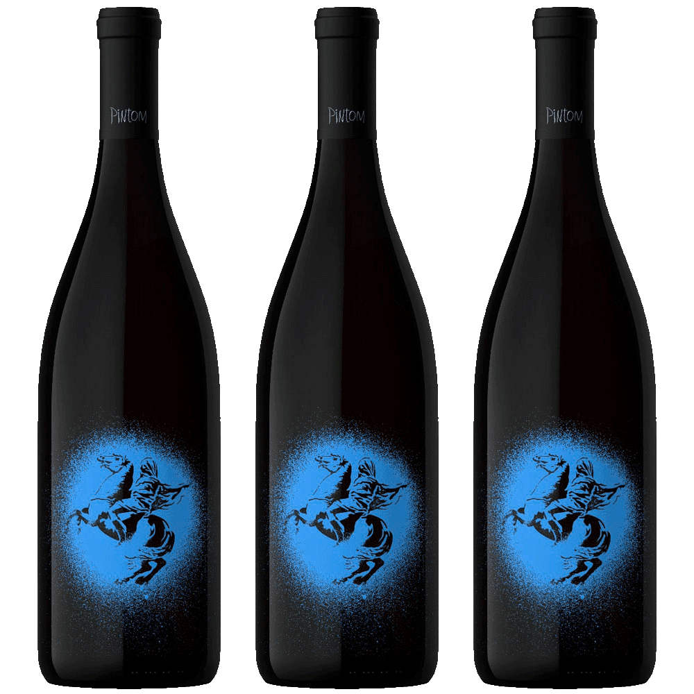 Selección Vertical Pintom Sur 2019 · 2020 · 2021