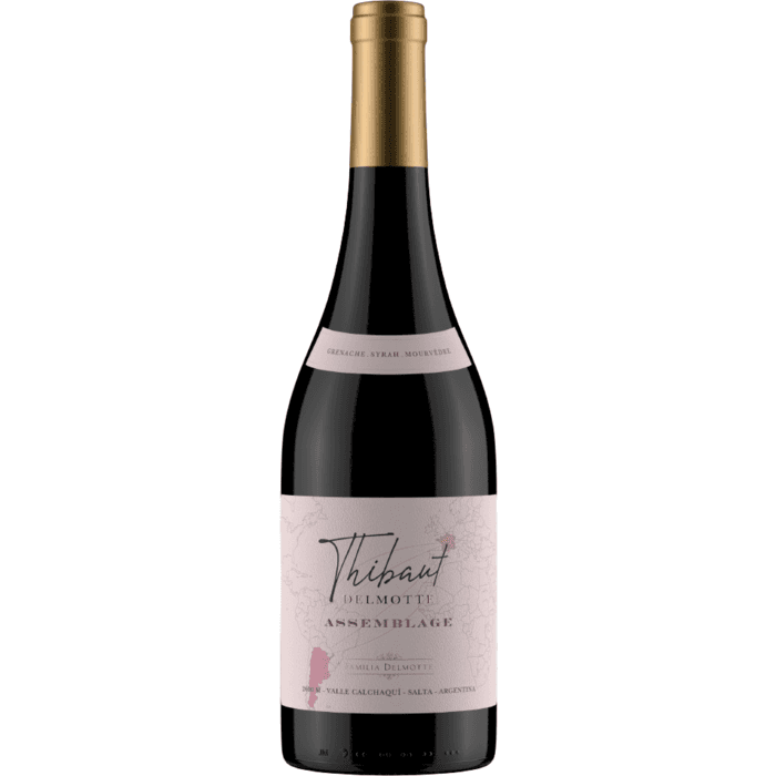 Thibaut Delmotte Assemblage Tinto