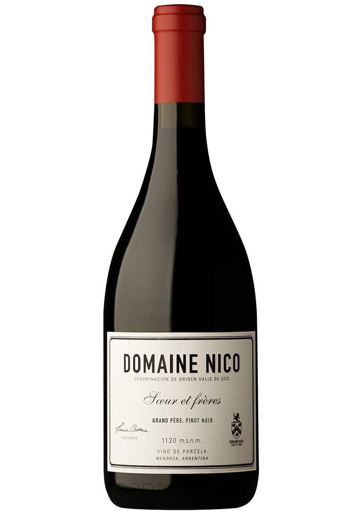 Vino Tinto Pinot Noir Grand Père 750 Cc Domaine Nico
