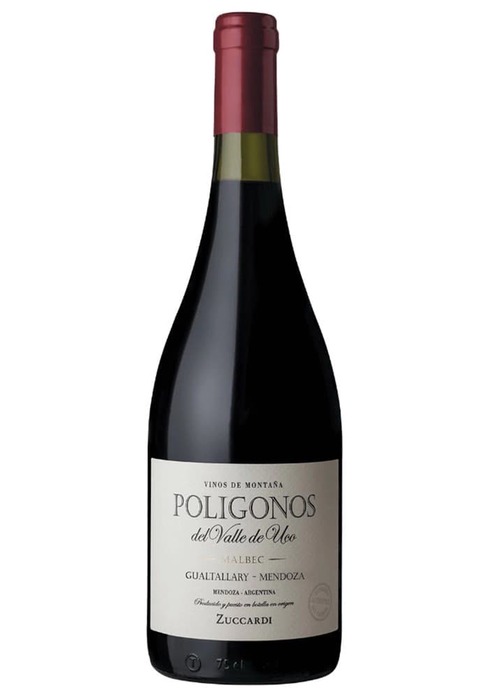 Polígonos del Valle de Uco Gualtallary Malbec