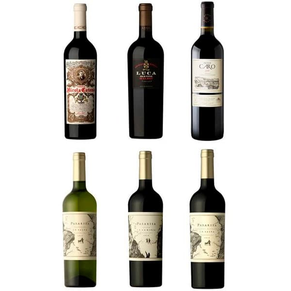 SANGRE DE VIÑEDO – Caja x 6 X 750 ML