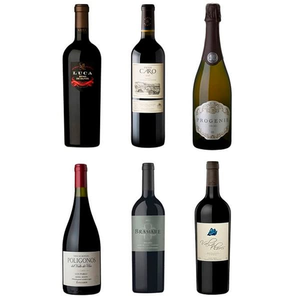 DEJANDO HUELLAS – Caja x 6 X 750 ML