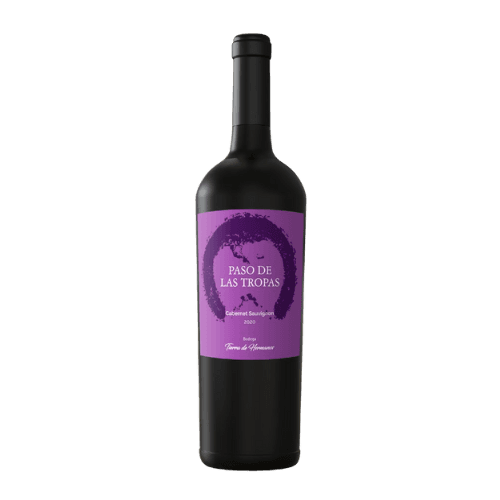 Vino Tinto Paso las Tropas Malbec 750 cc