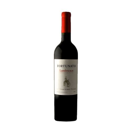 Vino Tinto PUMALEK Lambrusco Gaspaprossa Fortunato x750cc