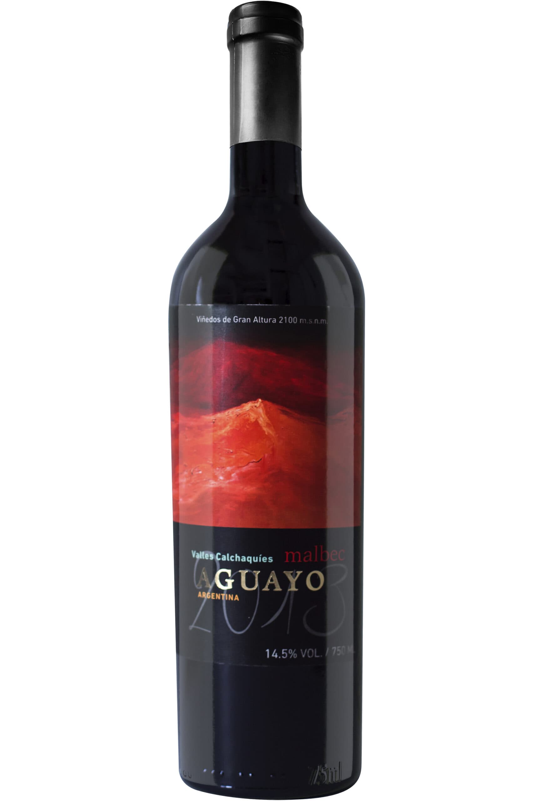 Agustín Lanús Sunal Aguayo Malbec