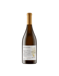 Antología 55 Blend
