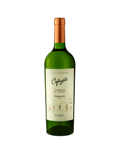 CAFAYATE TERROIR DE ALTURA TORRONTES