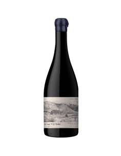 Un Lugar en los Andes Pinot Noir 2021