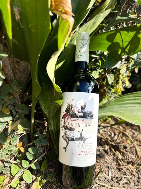 Altaland Merlot Patagonia