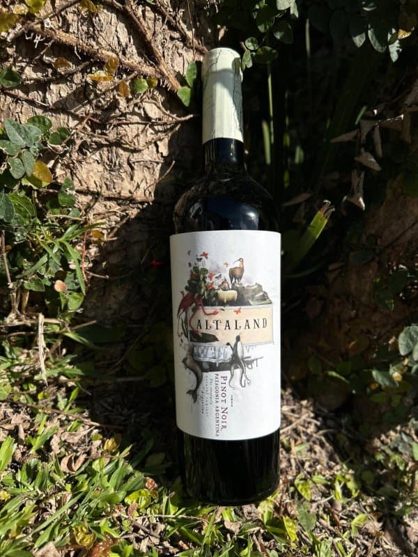 Altaland Pinot Noir Patagonia