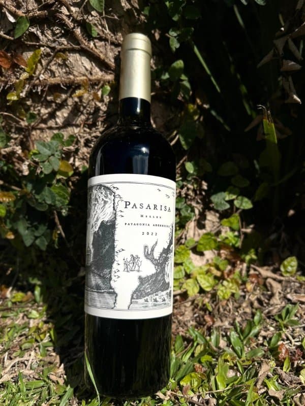 Pasarisa Merlot Patagonia Argentina