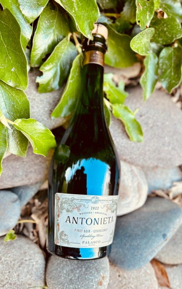 Antonieta Nature