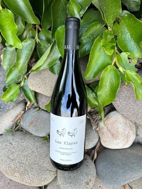 Las Playas Pinot Noir