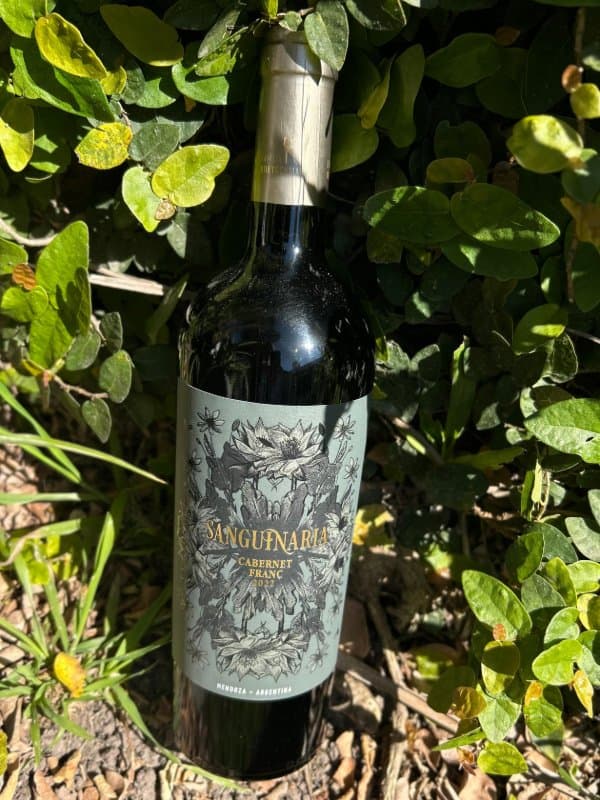 Sanguinario Cabernet Franc