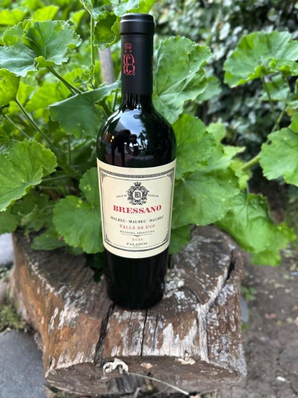 Bressano Malbec de Falasco