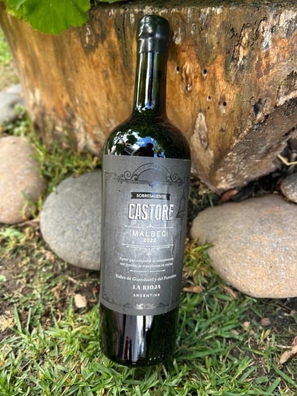 Castore Sobresaliente Malbec
