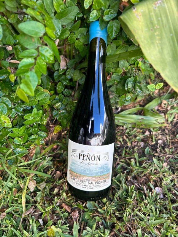 Peñón de Agrelo Cabernet Sauvignon