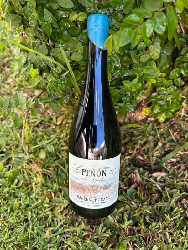 Peñón de Agrelo Cabernet Franc